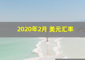 2020年2月 美元汇率